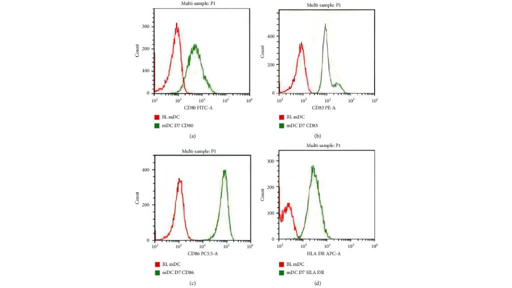 DCs express high levels of surface markers