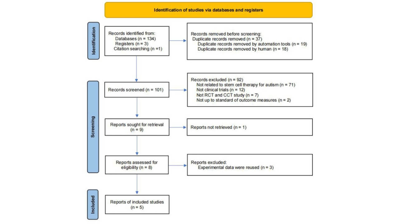 The inclusion flow chart of the literature